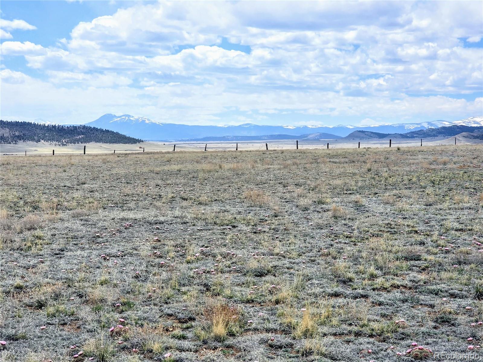 1127 Imboden Road Lake George, CO 80827 - Photo 14 of 23 Gallery Image 14