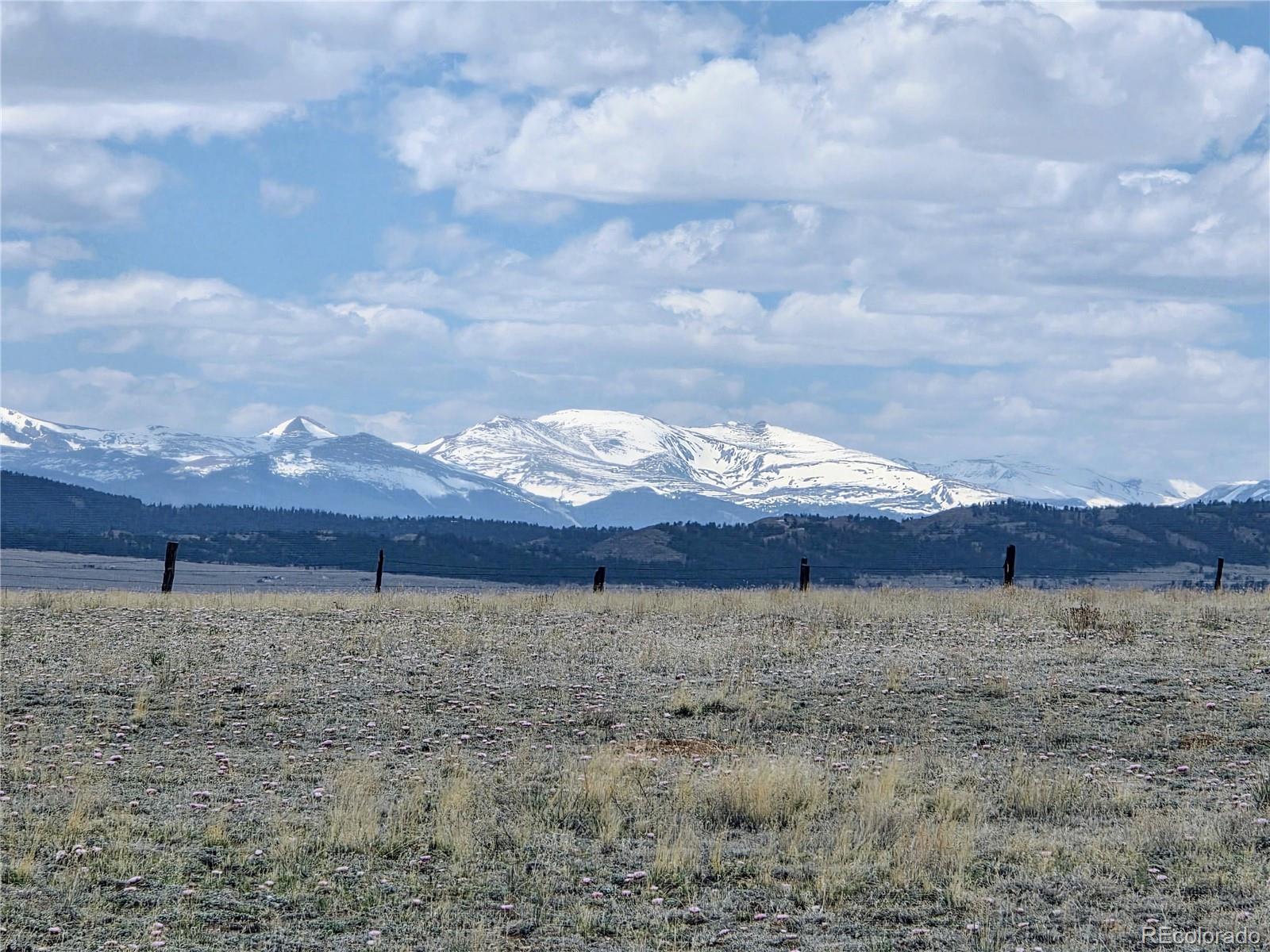 1127 Imboden Road Lake George, CO 80827 - Photo 3 of 23 Gallery Image 3