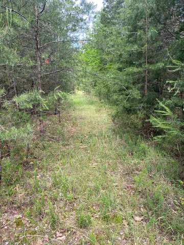 $225,000 | 0 Old River Road, Pacolet, SC 29372