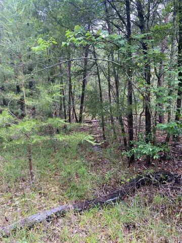 $225,000 | 0 Old River Road, Pacolet, SC 29372