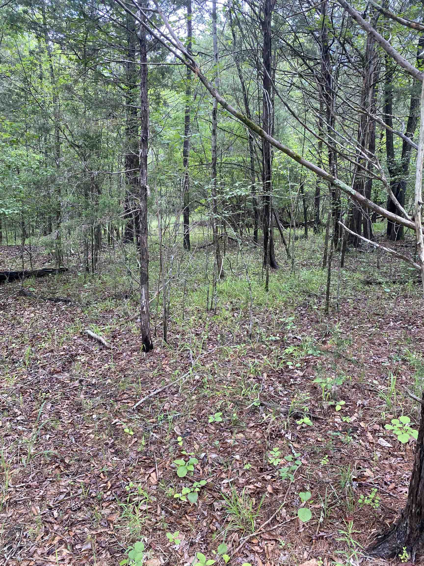 0 Old River Road Pacolet, SC 29372 - Photo 3 of 11 Gallery Image 3