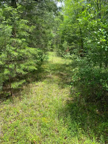 $225,000 | 0 Old River Road, Pacolet, SC 29372