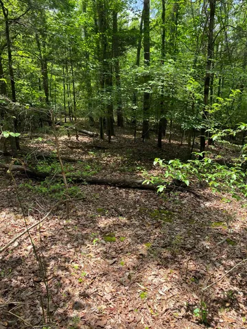 $225,000 | 0 Old River Road, Pacolet, SC 29372