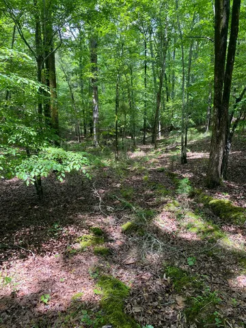 $225,000 | 0 Old River Road, Pacolet, SC 29372