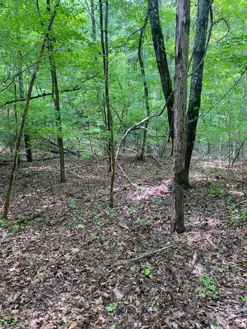 $225,000 | 0 Old River Road, Pacolet, SC 29372