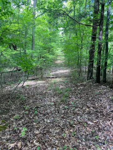 $225,000 | 0 Old River Road, Pacolet, SC 29372