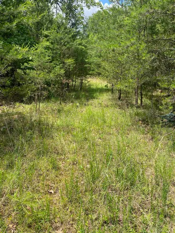 $225,000 | 0 Old River Road, Pacolet, SC 29372