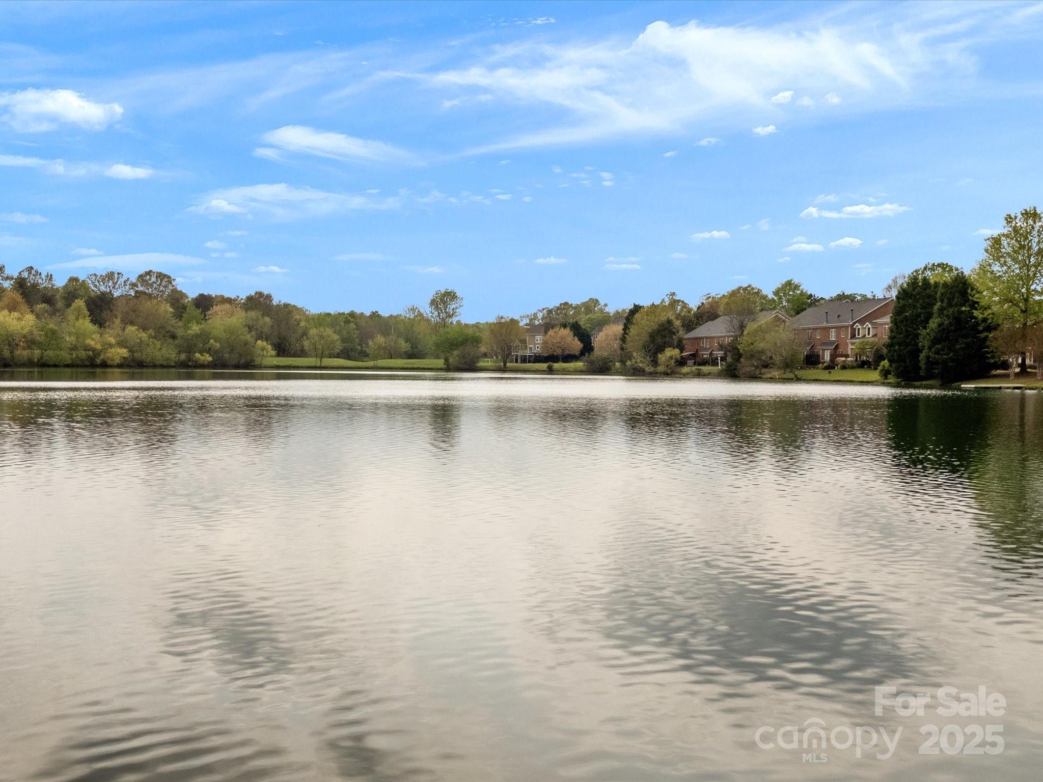 130 Villa Lake Drive Fort Mill, SC 29708 - Photo 45 of 46 a view of a lake with a mountain