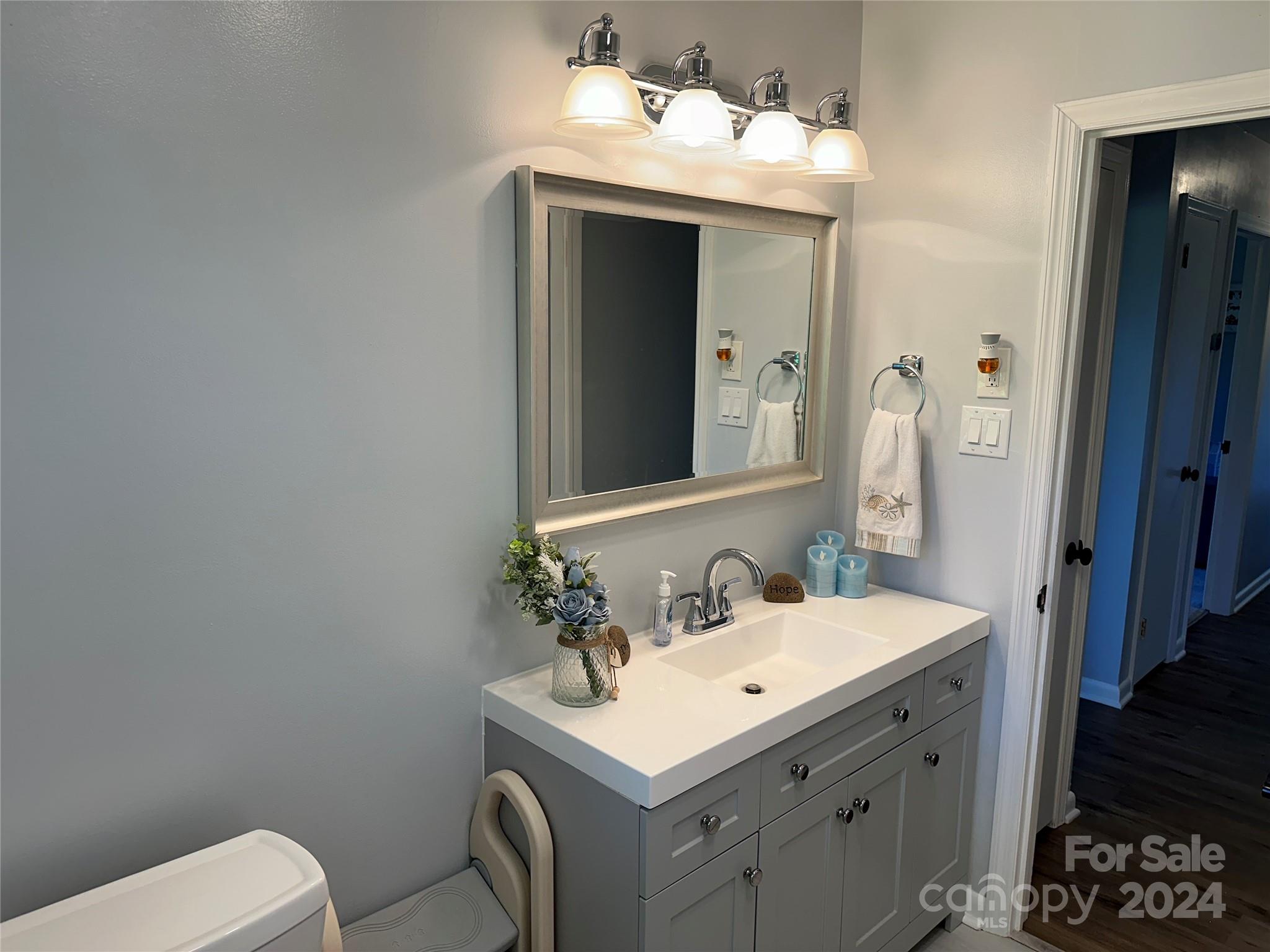 1118 Stack Road Monroe, NC 28112 - Photo 27 of 42 a bathroom with a sink vanity and a toilet