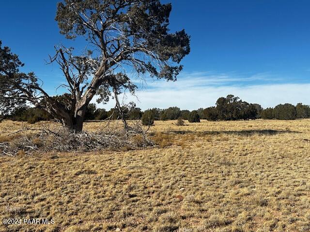 234- Brothers Road Seligman, AZ 86337 - Photo 1 of 10 a view of lake