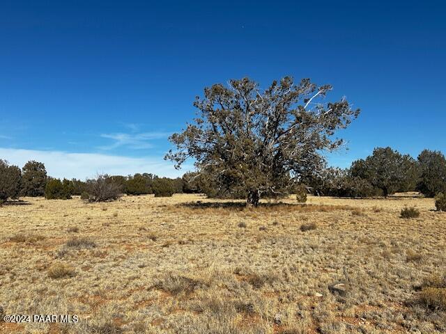 234- Brothers Road Seligman, AZ 86337 - Photo 6 of 10 a view of ocean view with beach