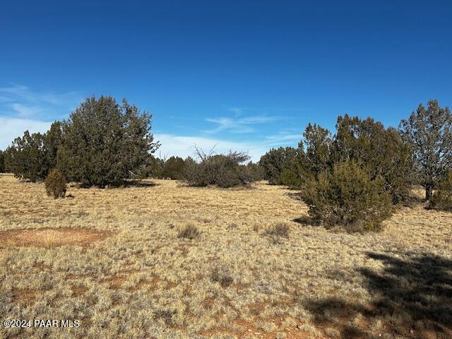 234- Brothers Road Seligman, AZ 86337 - Photo 7 of 10 a view of ocean view