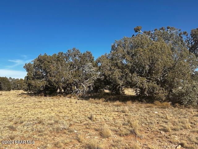 234- Brothers Road Seligman, AZ 86337 - Photo 8 of 10 a view of outdoor space