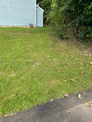 a view of a yard with an outdoor space