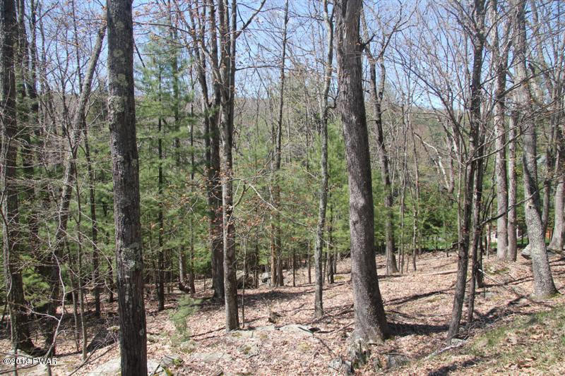 Woodledge East Road Hawley, PA 18428 - Photo 7 of 12