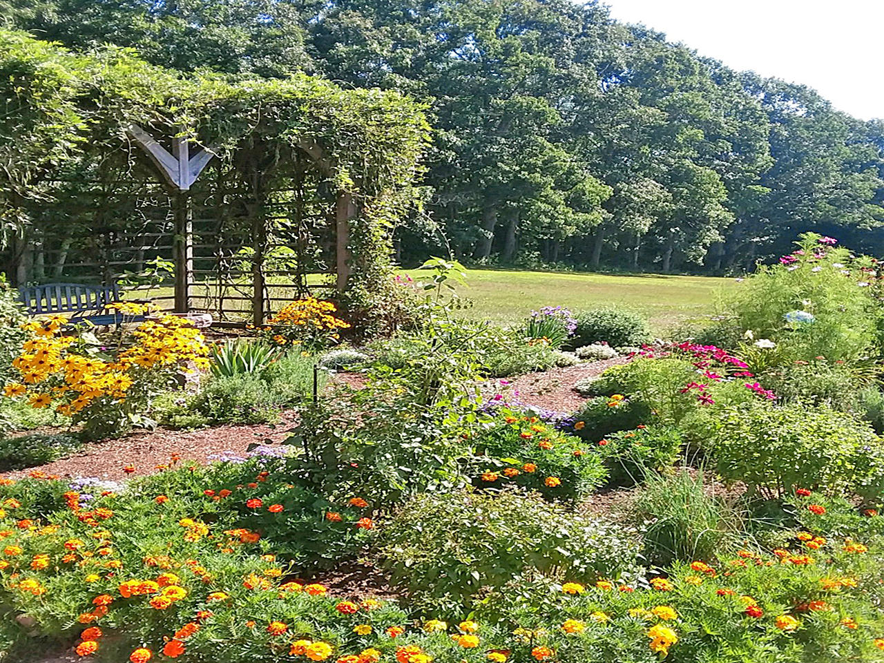 71 South Mountain Road Jefferson, ME 04348 - Photo 40 of 48 Garden 2
