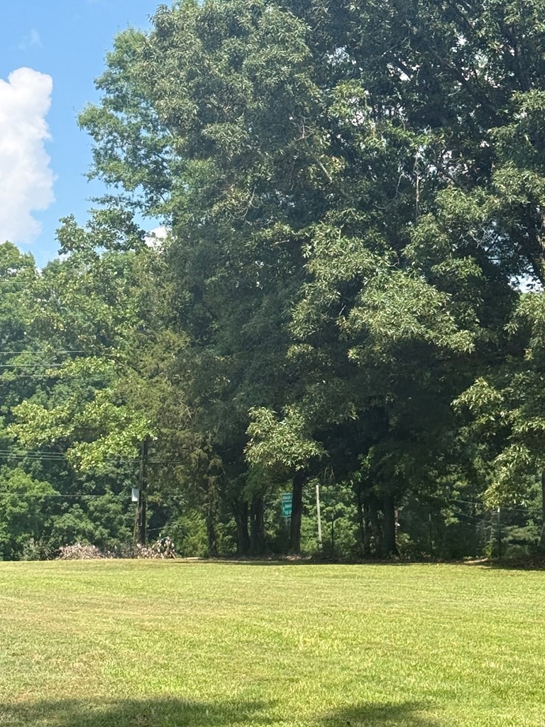 442 Hill Road Abbeville, SC 29620 - Photo 3 of 14