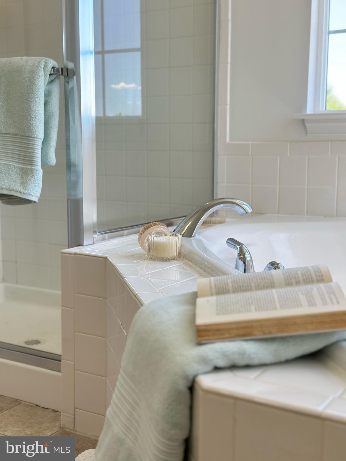 863 Fox Den Road Culpeper, VA 22701 - Photo 30 of 44 MASTER BATH TUB