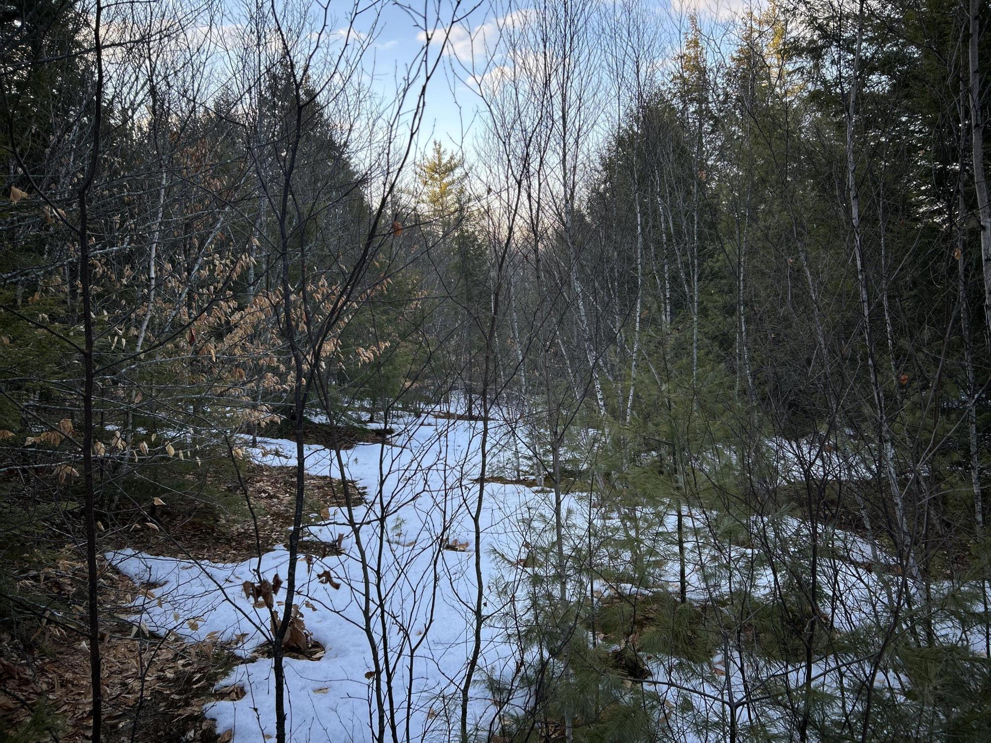 Map13-lot11 Field View Road Fryeburg, ME 04037 - Photo 6 of 37