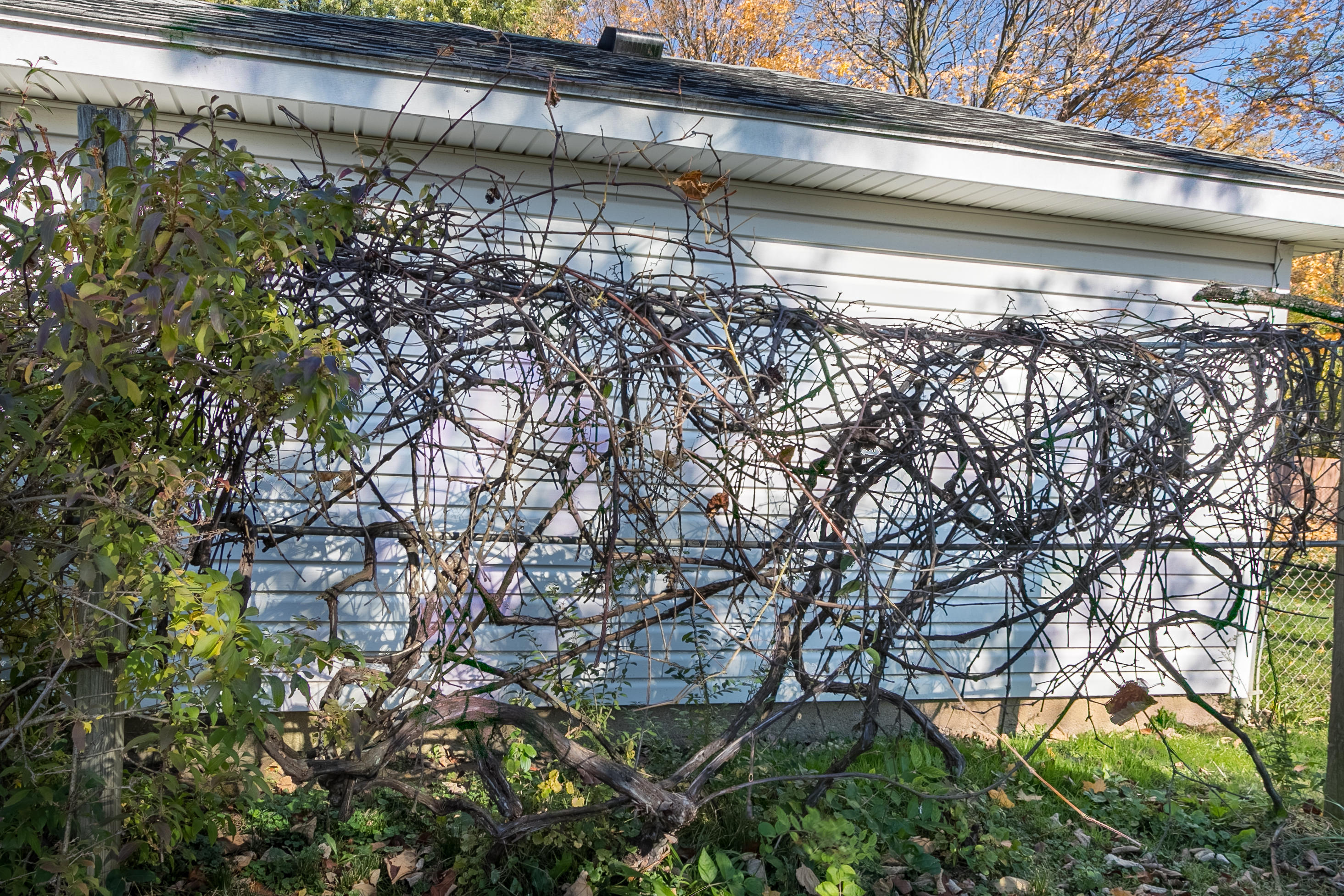 104 East 3rd Street Springfield, OH 45504 - Photo 11 of 39 Gallery Image 11