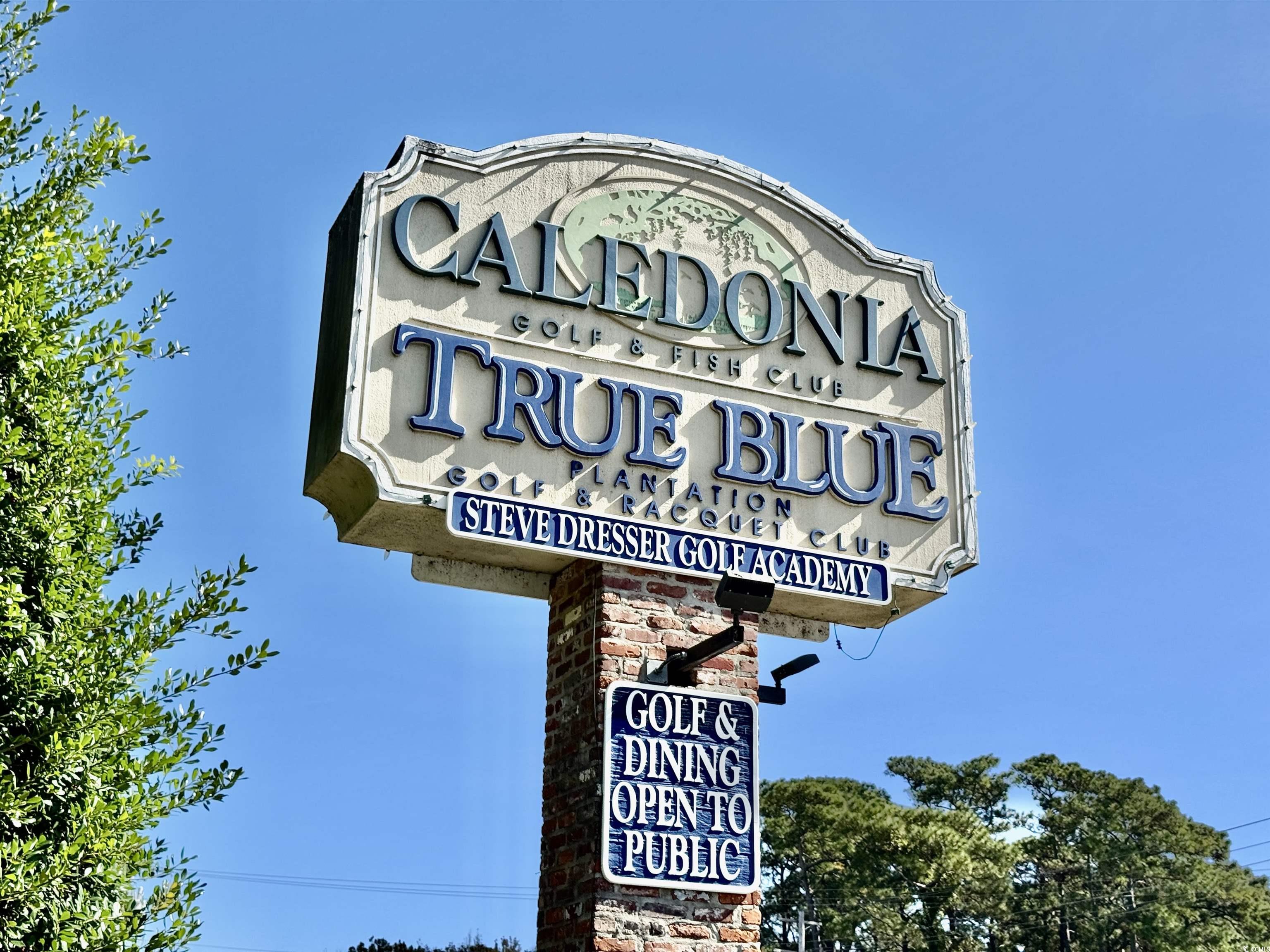 366 Pinehurst Lane, Unit 13I Pawleys Island, SC 29585 - Photo 2 of 40