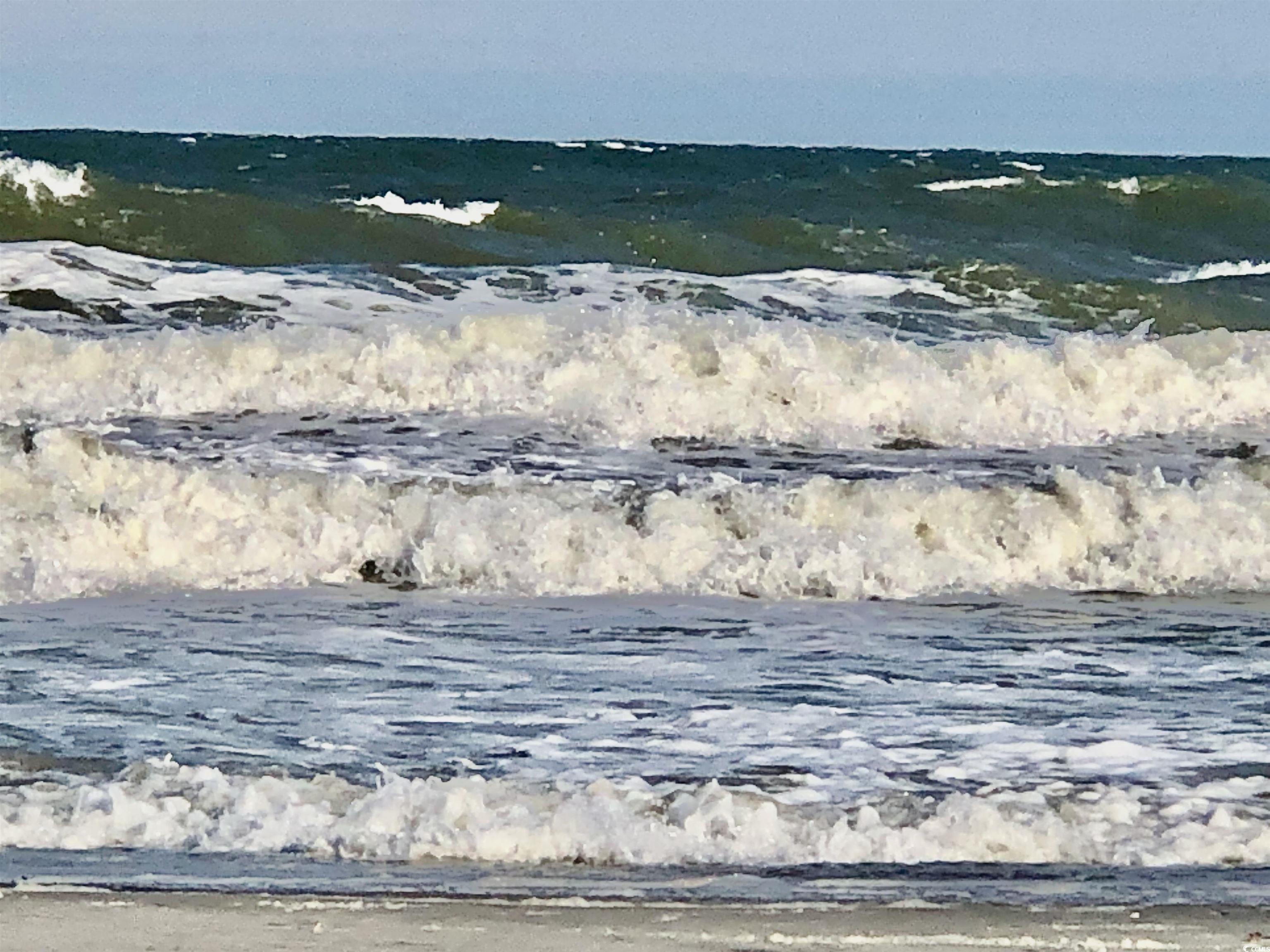 366 Pinehurst Lane, Unit 13I Pawleys Island, SC 29585 - Photo 39 of 40