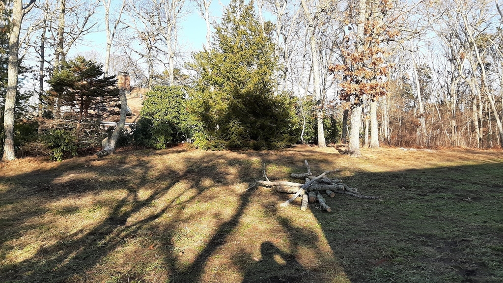 8 Paddock Drive Harwich, MA 02645 - Photo 12 of 12 a view of yard with trees