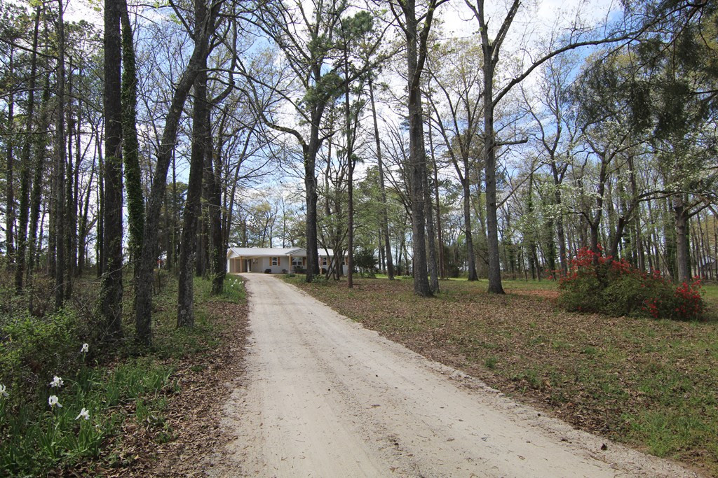 5147 Story Mill Road Hephzibah, GA 30815 - Photo 4 of 34 Gallery Image 4