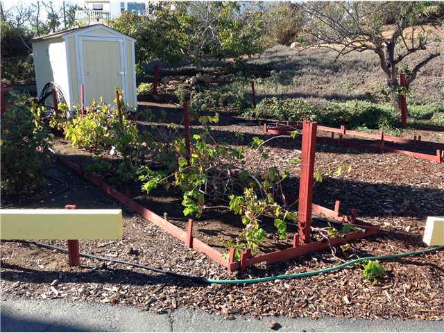 860 Mason Road Vista, CA 92084 - Photo 11 of 13 Prepared vegetable garden