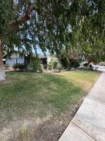 a view of a park with large trees