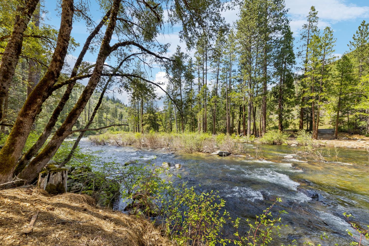 3045 Alder Creek Road, Unit 16 Pollock Pines, CA 95726 - Photo 2 of 20 a view of yard