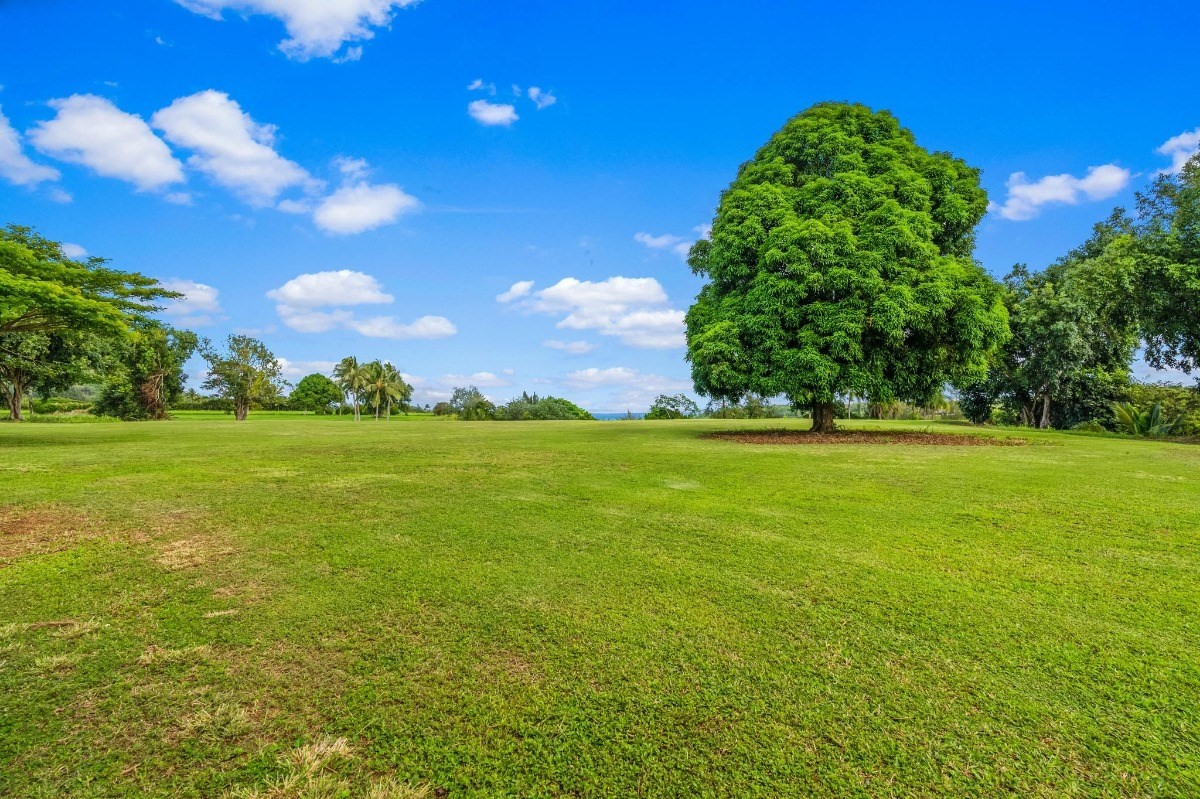 St, Unit 5 Kilauea, HI 96754 - Photo 11 of 26 a view of a green field