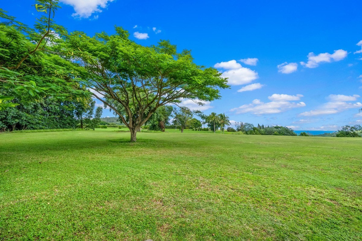 St, Unit 5 Kilauea, HI 96754 - Photo 19 of 26 a view of yard with green space