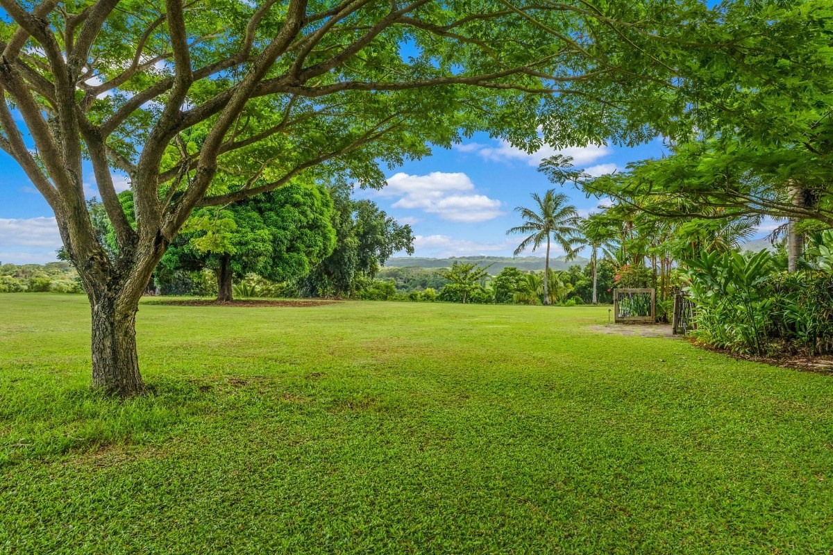 St, Unit 5 Kilauea, HI 96754 - Photo 20 of 26 a view of a field with a tree in the background