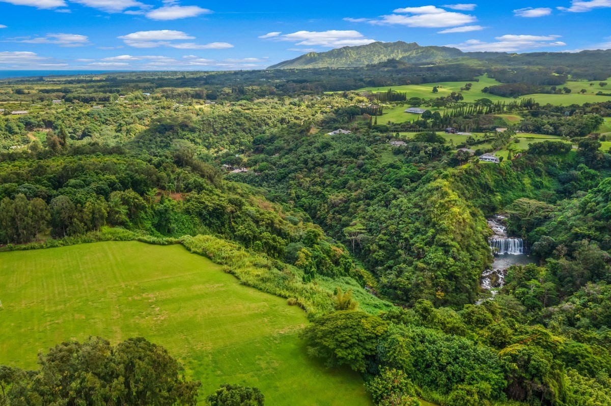 St, Unit 5 Kilauea, HI 96754 - Photo 5 of 26 a view of an outdoor space and a yard