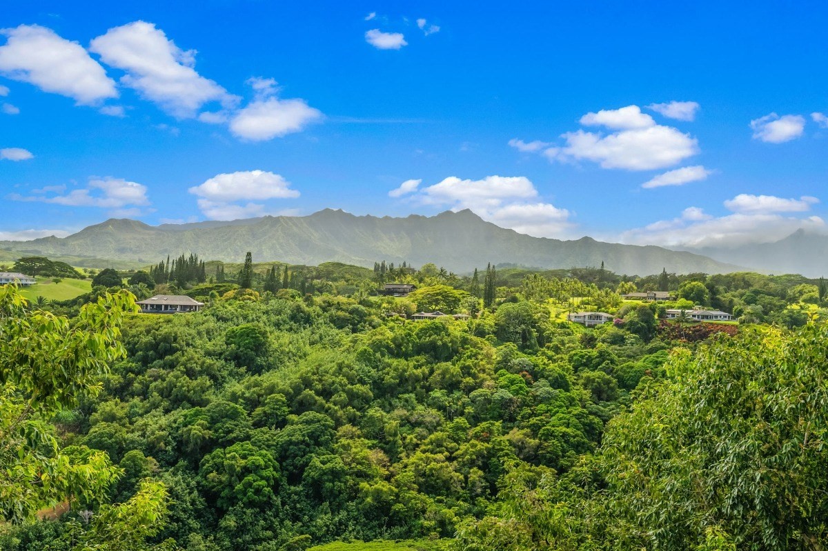 St, Unit 5 Kilauea, HI 96754 - Photo 6 of 26 a view of a city