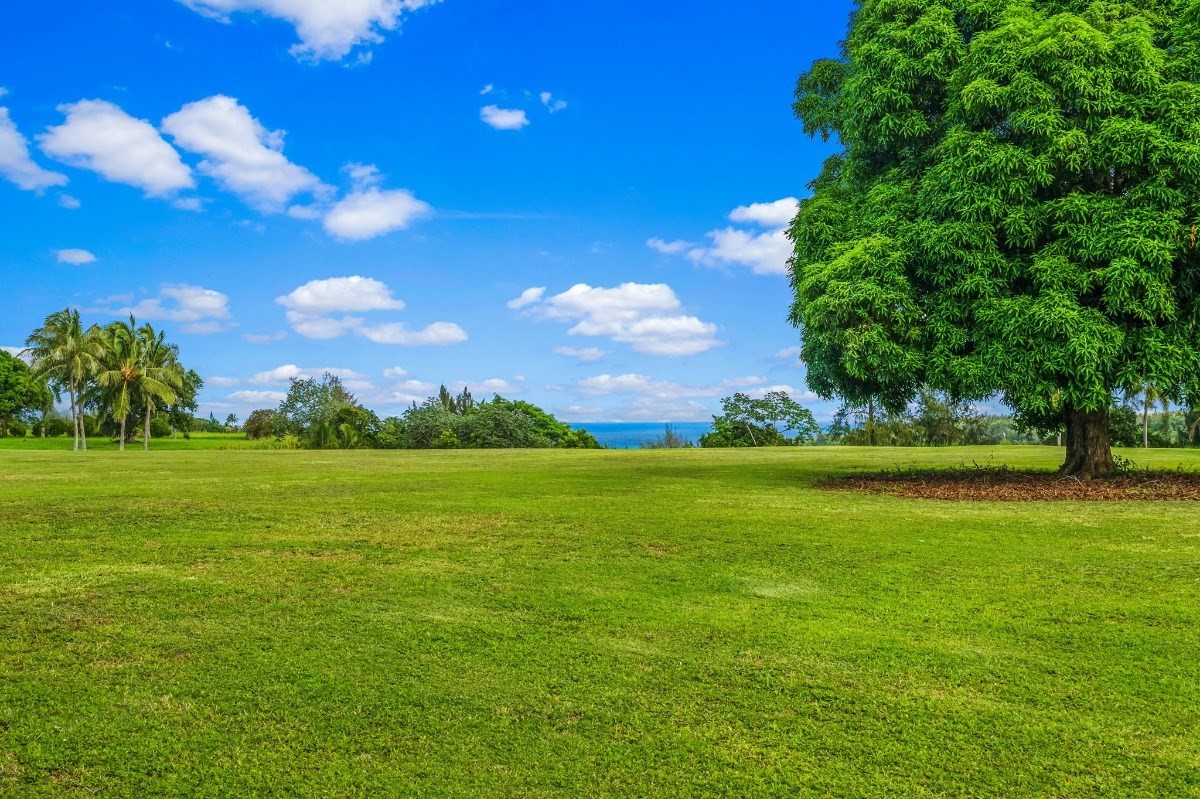 St, Unit 5 Kilauea, HI 96754 - Photo 10 of 26 a view of an ocean yard and outdoor seating