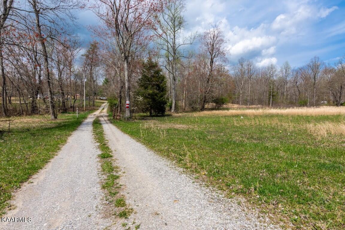 91 Dustin Road Spring City, TN 37381 - Photo 23 of 28 Dustin 22 (Medium)