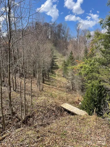 a backyard of a house with lots of green space