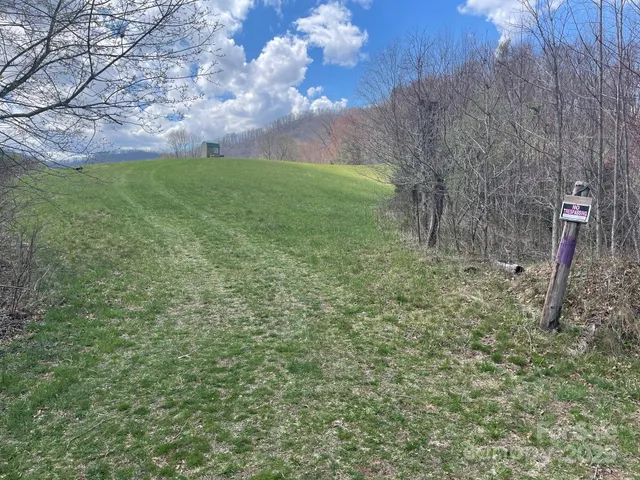 a view of a back yard