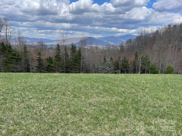 a view of a yard with an trees