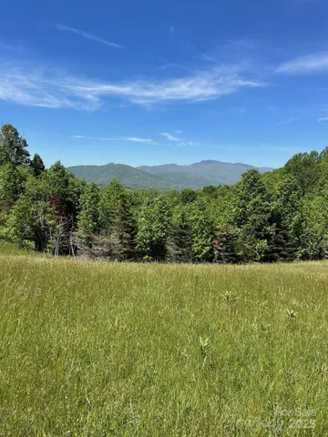 $299,000 | 999 Chestnut Mountain Drive, Green Mountain, NC 28740