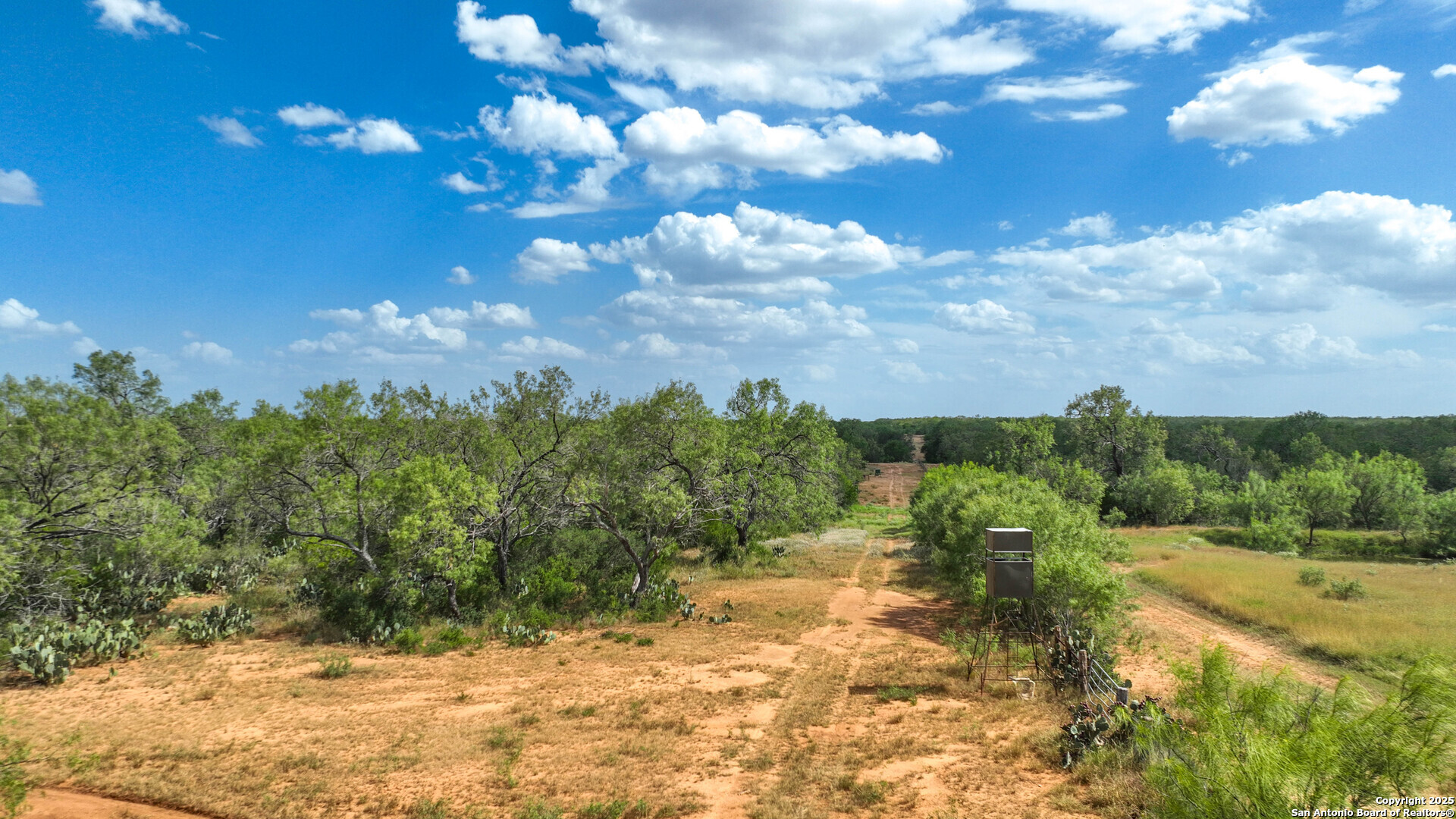 6451 Bluntzer Road Jourdanton, TX 78026 - Photo 37 of 53