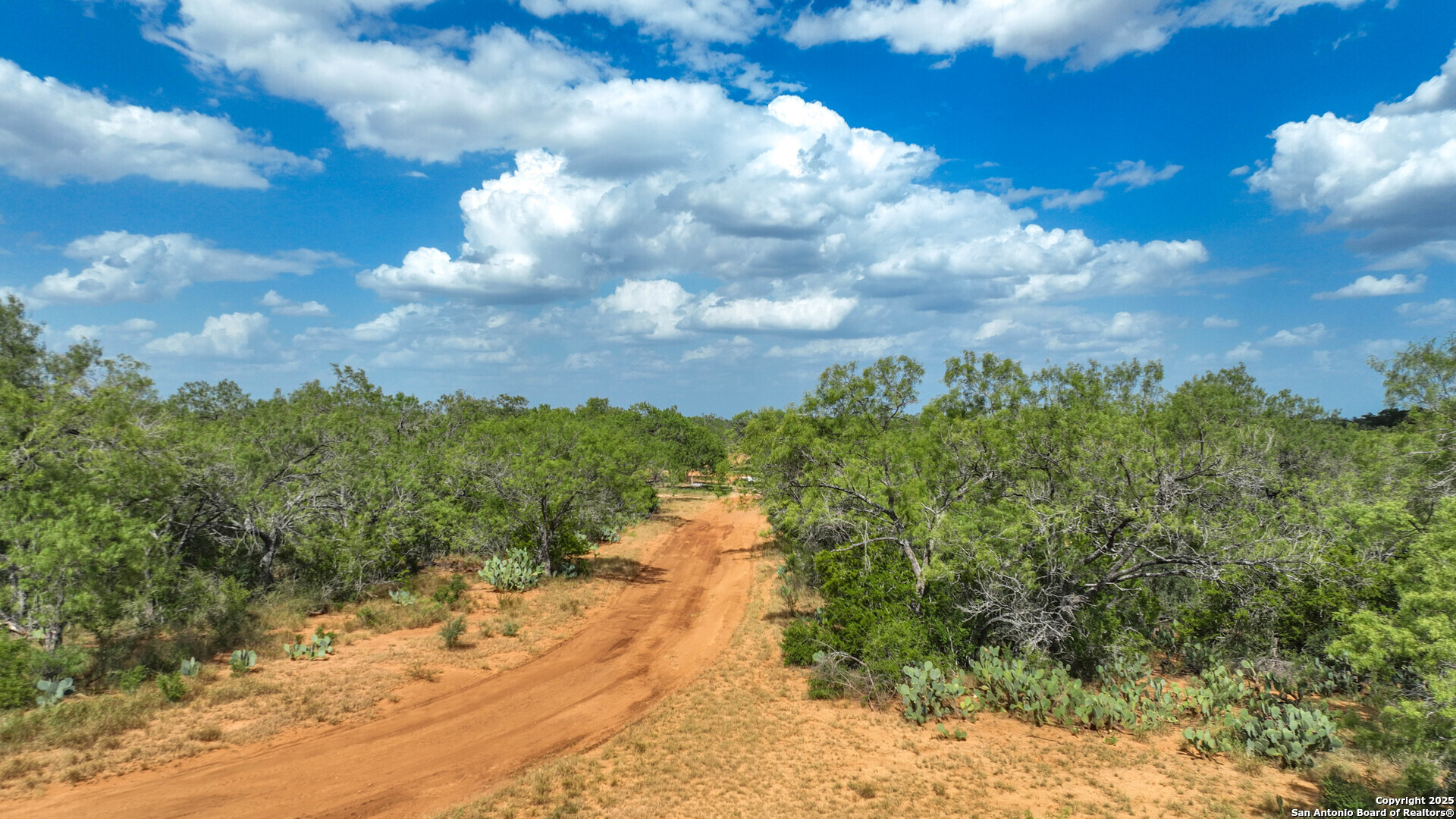 6451 Bluntzer Road Jourdanton, TX 78026 - Photo 38 of 53