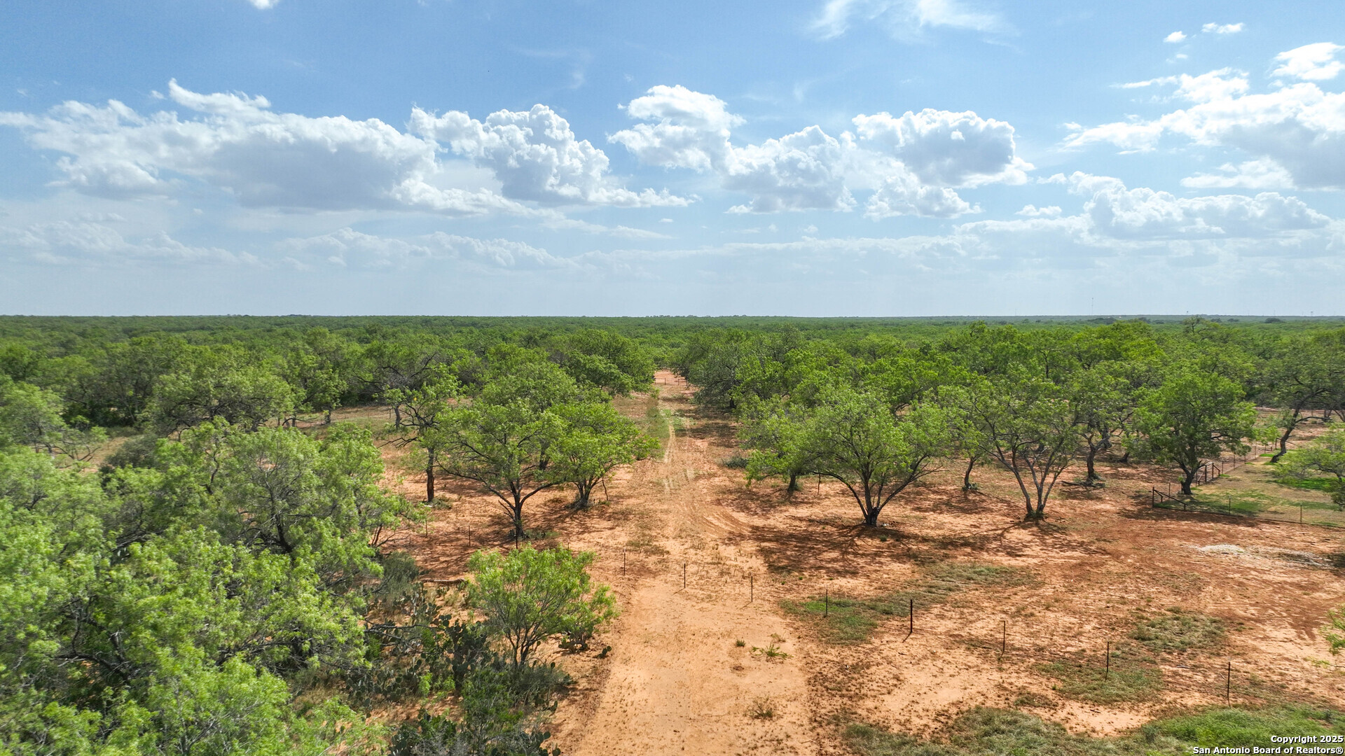 6451 Bluntzer Road Jourdanton, TX 78026 - Photo 42 of 53