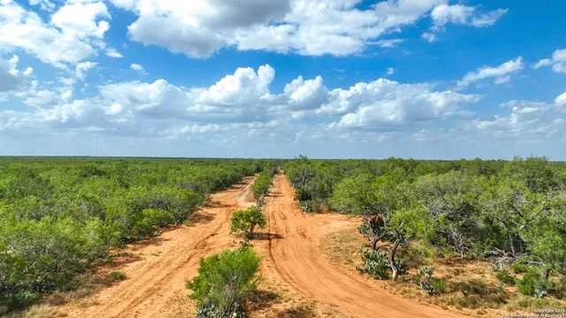 $885,000 | 6451 Bluntzer Road, Jourdanton, TX 78026