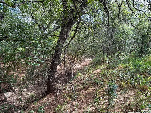 $885,000 | 6451 Bluntzer Road, Jourdanton, TX 78026