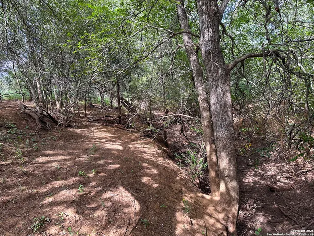 $885,000 | 6451 Bluntzer Road, Jourdanton, TX 78026