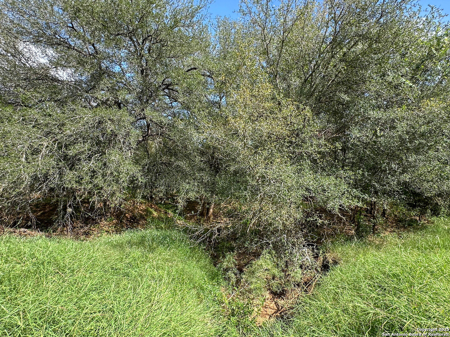 6451 Bluntzer Road Jourdanton, TX 78026 - Photo 47 of 53