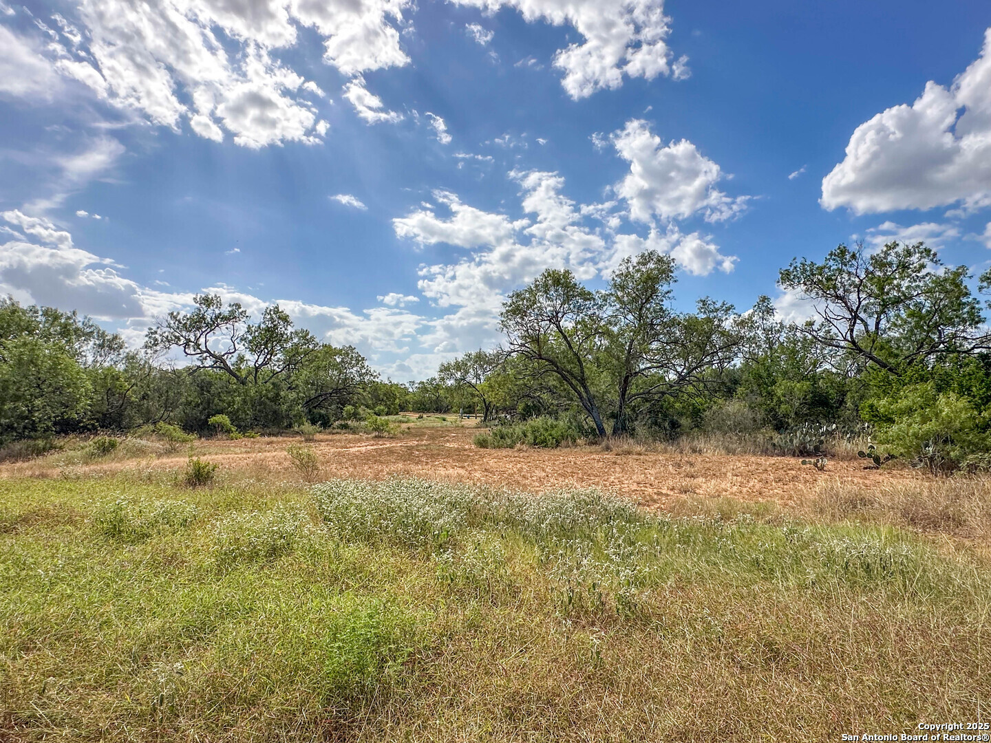 6451 Bluntzer Road Jourdanton, TX 78026 - Photo 48 of 53